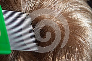 Comb out lice from the hair with a special comb with frequent teeth