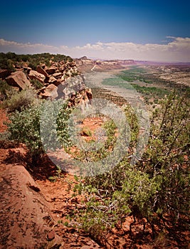 Comb Ridge near Monticello, Utah photo