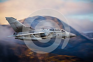 Combat aircraft Tornado photo