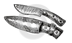 Combat hunting survival sawback knife and sheath