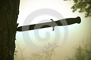 Combat knife in tree photo