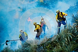 Combating the flames. Shot of fire fighters combating a wild fire.