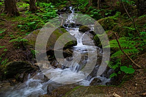 Combe armancelle in comtamines montjoie,haute savoie,france