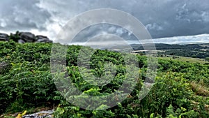 Combestone Tor, DARTMOOR NATIONAL PARK, DEVON UK photo