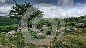 Combestone Tor, DARTMOOR NATIONAL PARK, DEVON UK photo