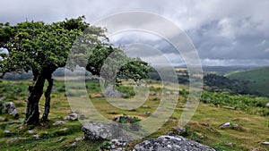 Combestone Tor, DARTMOOR NATIONAL PARK, DEVON UK photo