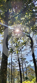 the combination of colors of life becomes a beauty