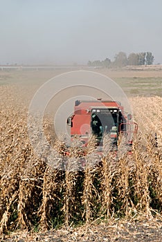 Combine and Corn