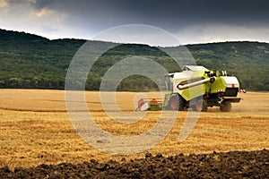 Combine harvested wheat