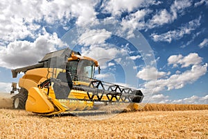 Combine harvester in action.