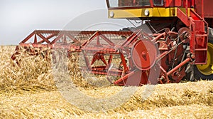 Combine harvester in action on barley field