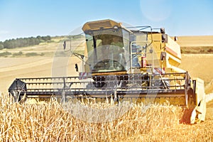 combine harvester in action in grain fields in summer