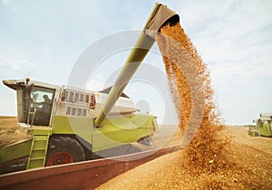 Combine harvester in action on wheat field