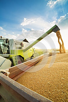 Combine harvester in action on wheat field