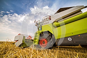 Combine harvester in action on wheat field.