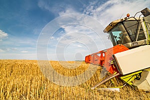 Combine harvester in action on wheat field.