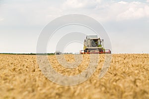 Combine harvester in action on wheat field.