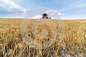 Combine harvester in action on wheat field.