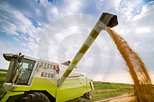 Combine harvester in action on wheat field.