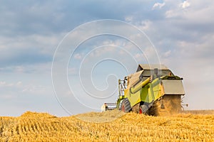 Combine harvester in action on wheat field.