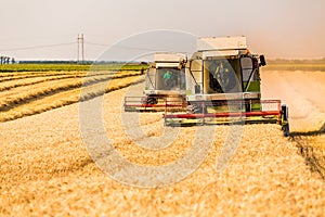 Combine harvester in action on wheat field.