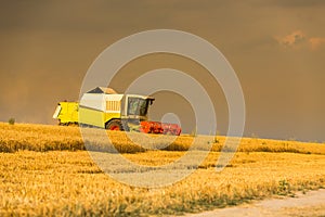 Combine harvester in action on wheat field.