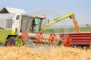 Combine harvester in action on wheat field.