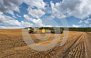 Combine harvester in action on wheat field