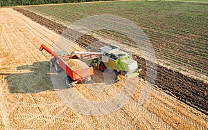 Combine harvester in action on wheat field