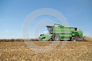 Combine harvester in action on wheat field.