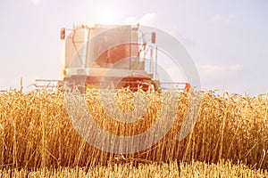 Combine harvester in action on wheat field.