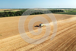 Combine harvester in action on wheat field. Drone shoot