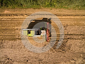 Combine harvester - Aerial view of modern combine harvester at the harvesting the wheat on the golden wheat field in the summer