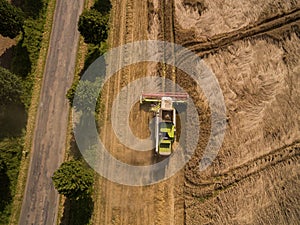 Combine harvester - Aerial view of modern combine harvester at the harvesting the wheat on the golden wheat field in the summer