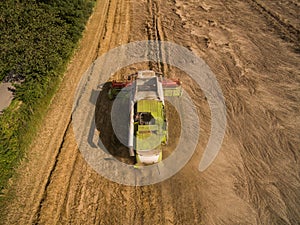 Combine harvester - Aerial view of modern combine harvester at the harvesting the wheat on the golden wheat field in the summer