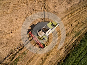 Combine harvester - Aerial view of modern combine harvester at the harvesting the wheat on the golden wheat field in the summer