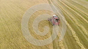 Combine harvester agricultural machine collects Golden ripe cereals in the field