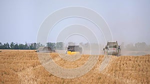 The combine harvester of an agricultural machine harvests from a field of golden ripe wheat.A combine harvester is