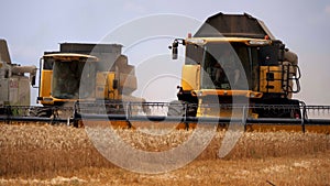 The combine harvester of an agricultural machine harvests from a field of golden ripe wheat.A combine harvester is