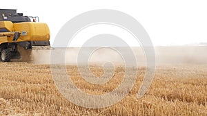 The combine harvester of an agricultural machine harvests from a field of golden ripe wheat.A combine harvester is