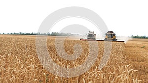 The combine harvester of an agricultural machine harvests from a field of golden ripe wheat.A combine harvester is