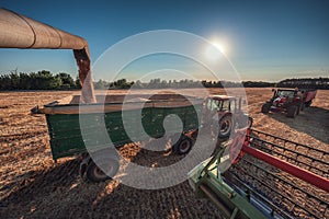 Combine harvester agriculture machine harvesting golden ripe wheat field