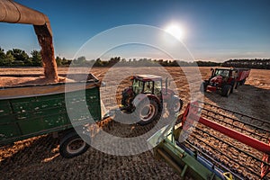 Combine harvester agriculture machine harvesting golden ripe wheat field