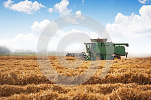 Combine harvester agriculture machine harvesting golden ripe wheat field