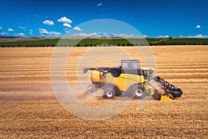 Combine harvester agriculture machine harvesting golden ripe wheat field