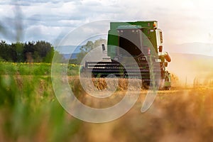 Combine harvester agriculture machine harvesting golden ripe wheat field