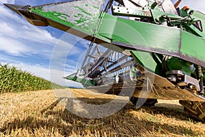 Combine harvester agriculture machine harvesting golden ripe wheat field