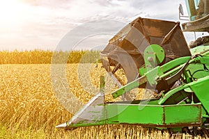 Combine harvester agriculture machine harvesting golden ripe wheat field