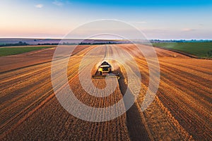 Combine harvester agriculture machine harvesting golden ripe wheat field