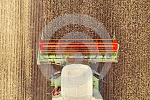 Combine harvester agriculture machine harvesting golden ripe wheat field